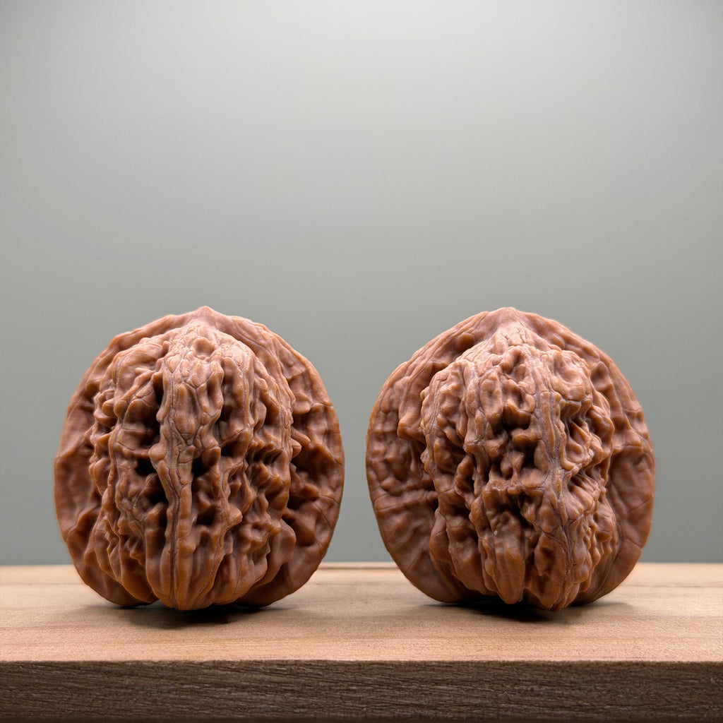 Four Towers Wenwan Walnut
