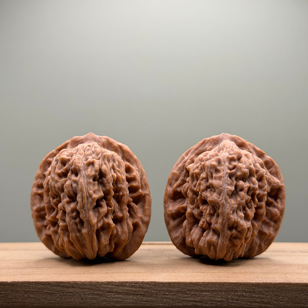 Four Towers Wenwan Walnut