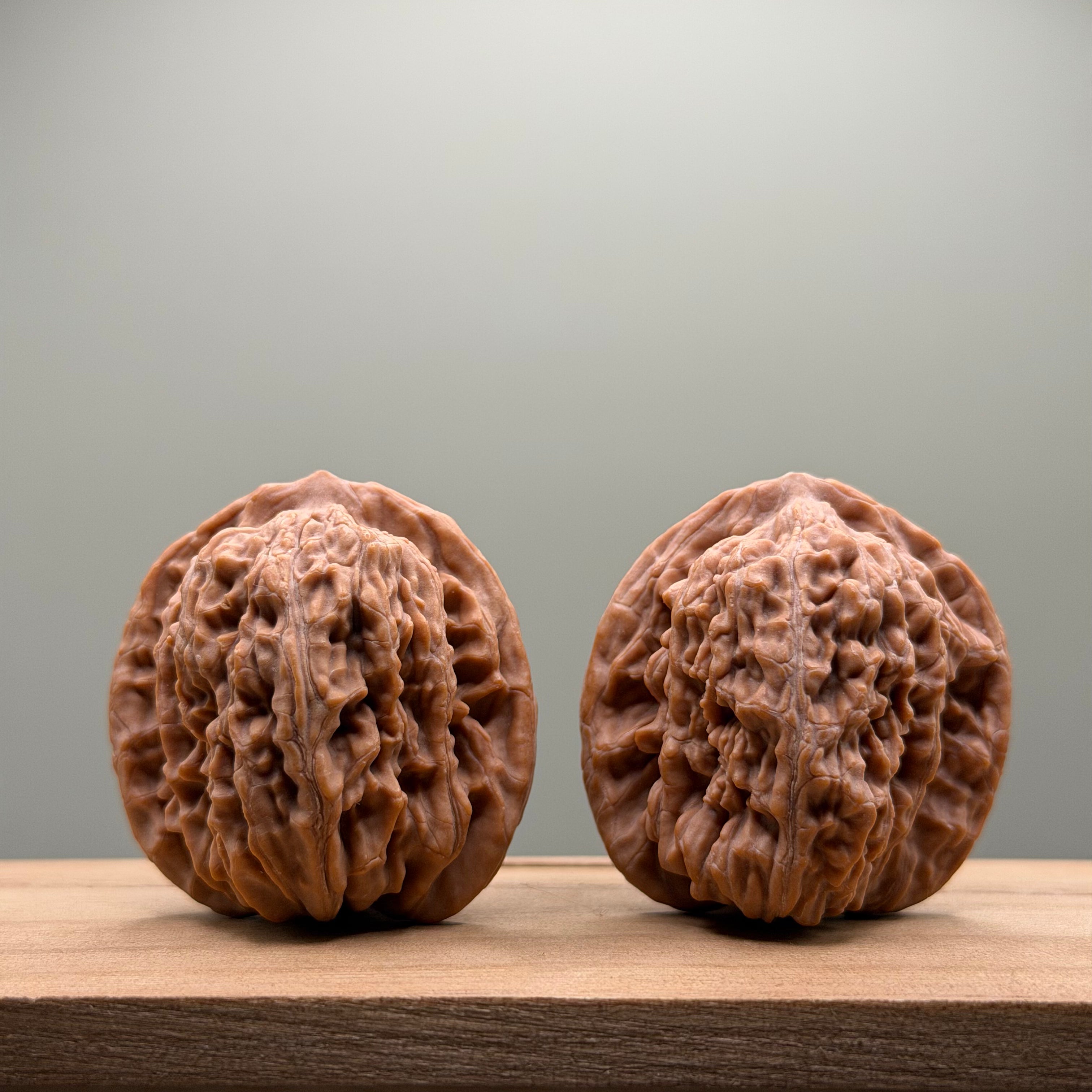 Four Towers Wenwan Walnut
