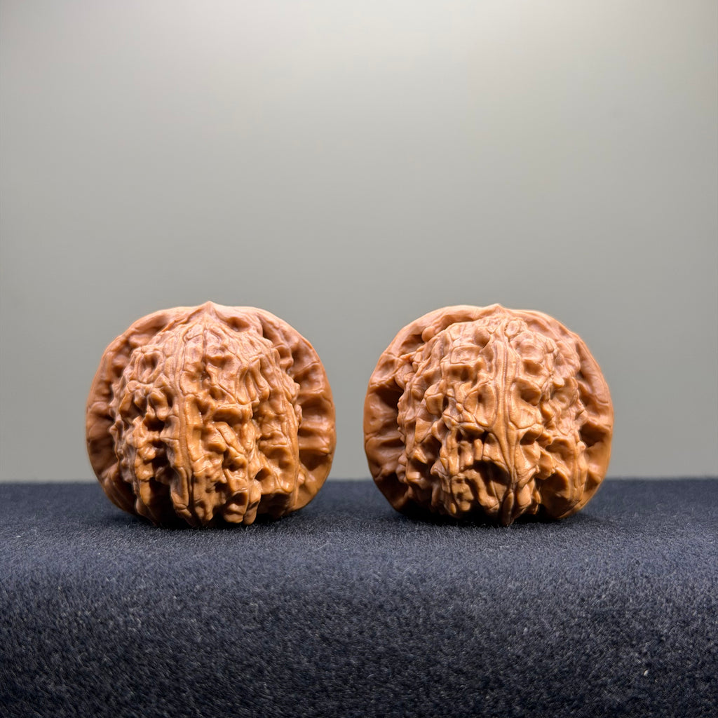 White Lion Wenwan Walnut · 37mm · Select Ritual