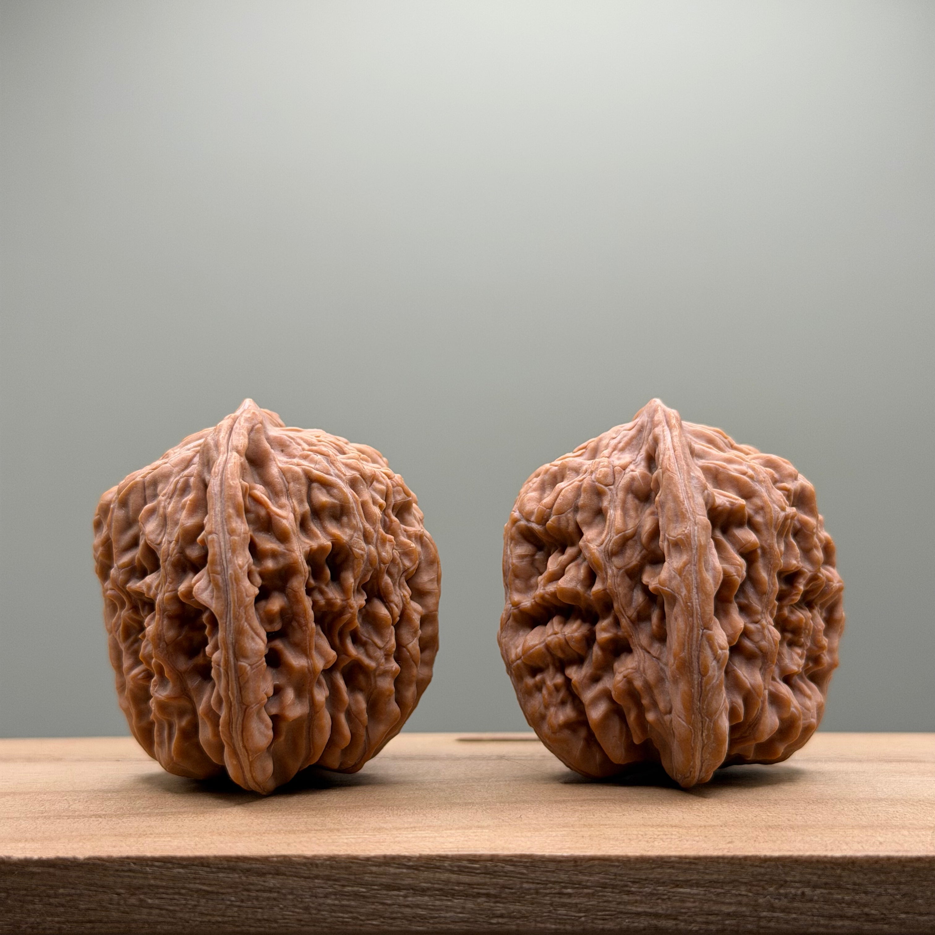 Four Towers Wenwan Walnut