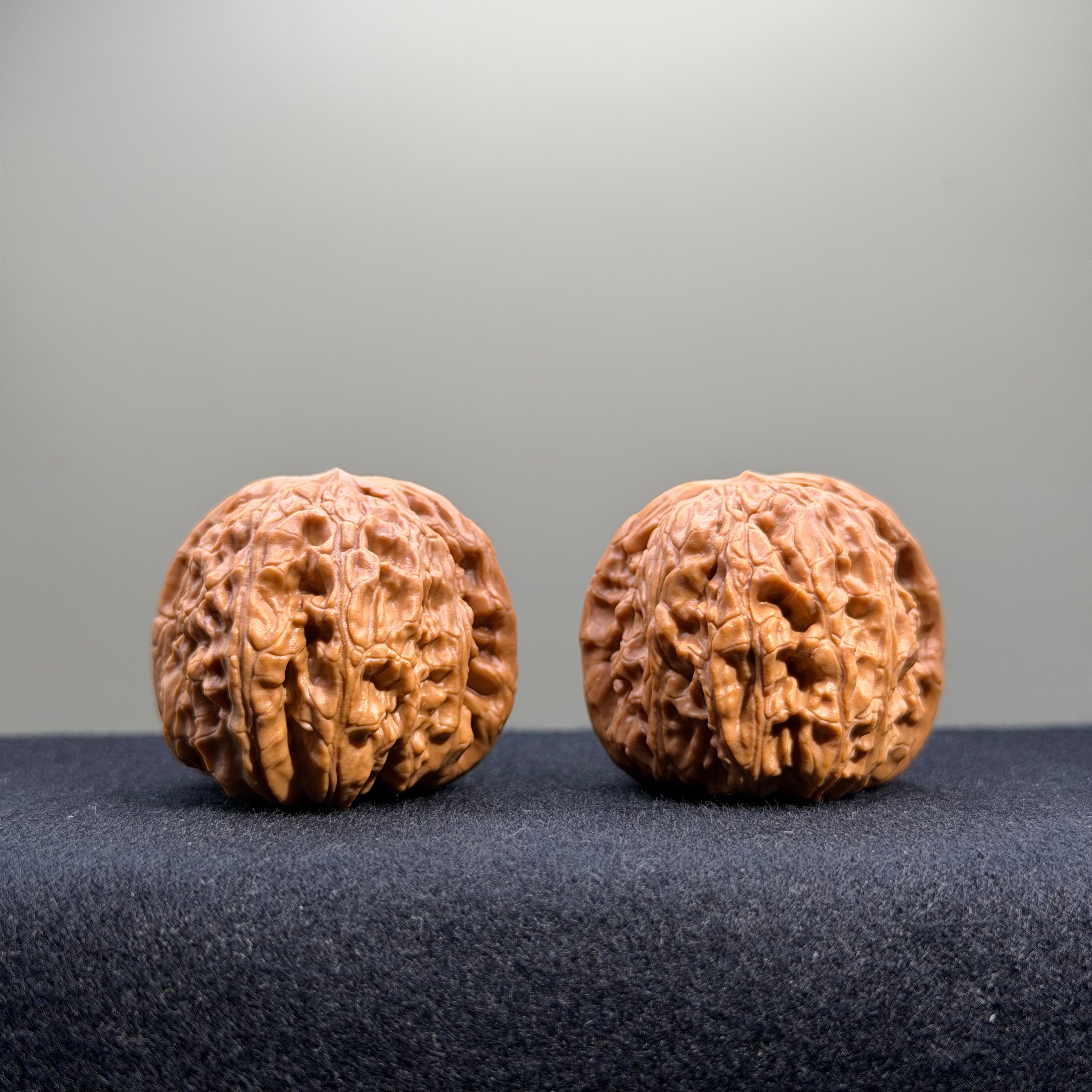 White Lion Wenwan Walnut · 37mm · Select Ritual