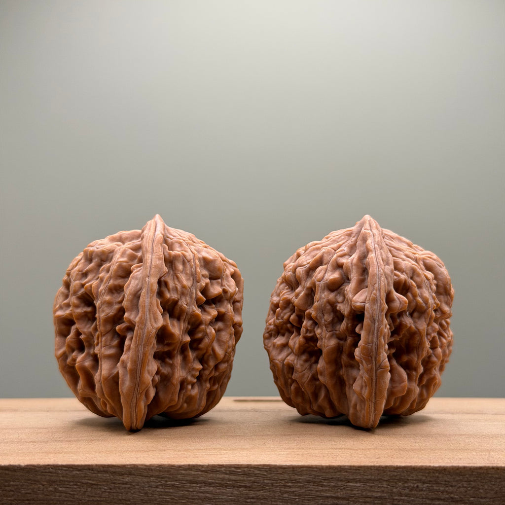 Four Towers Wenwan Walnut