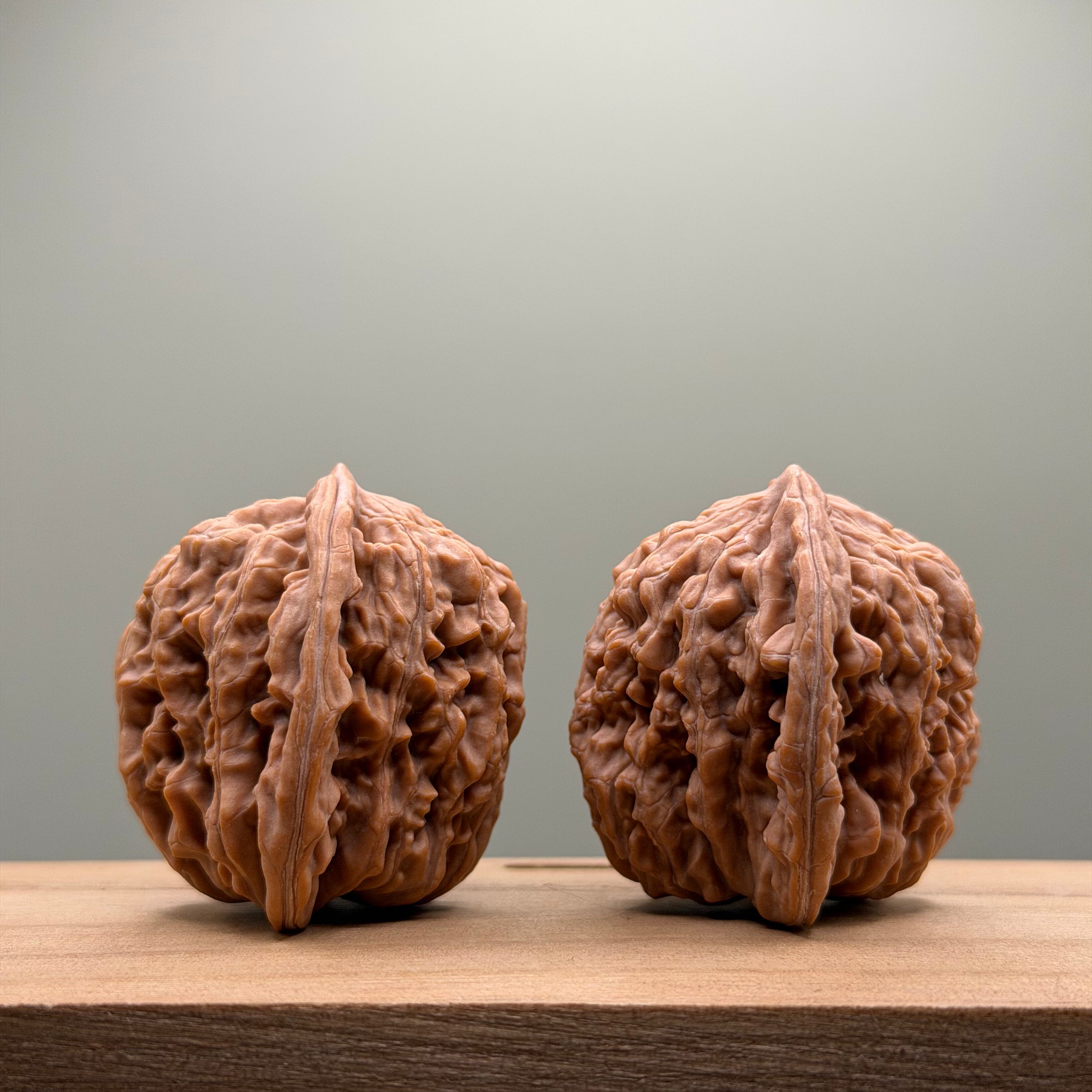 Four Towers Wenwan Walnut