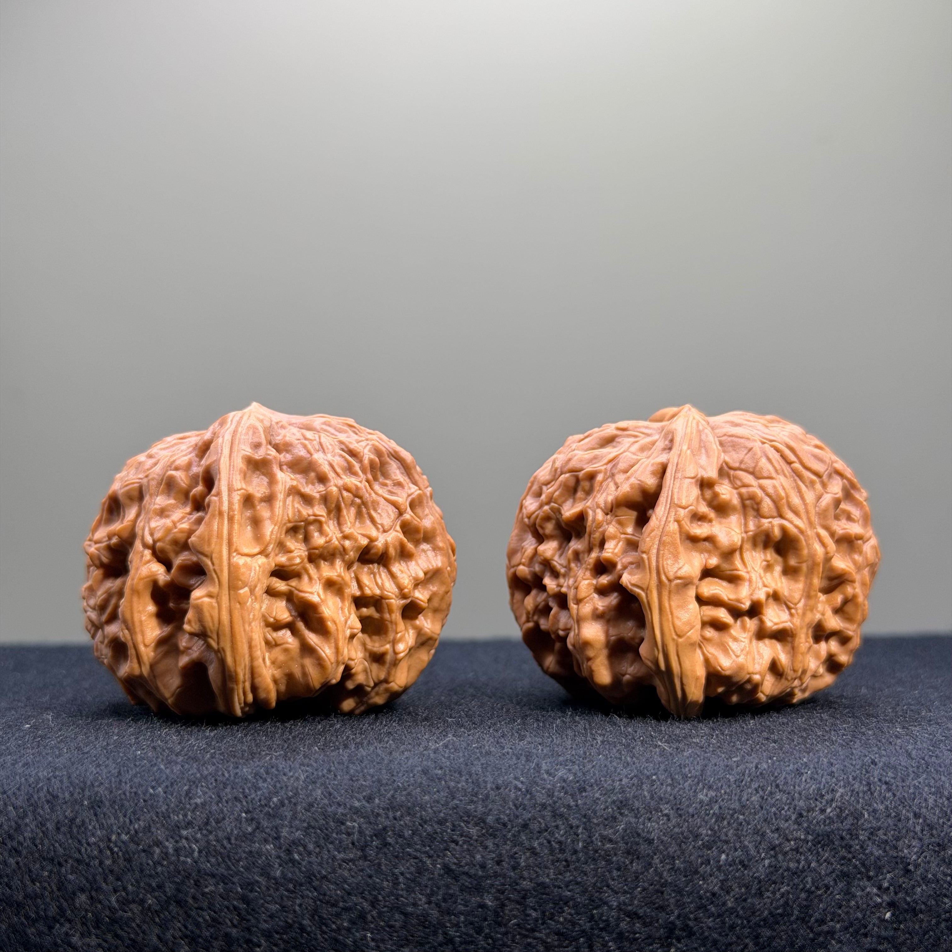 White Lion Wenwan Walnut · 37mm · Select Ritual