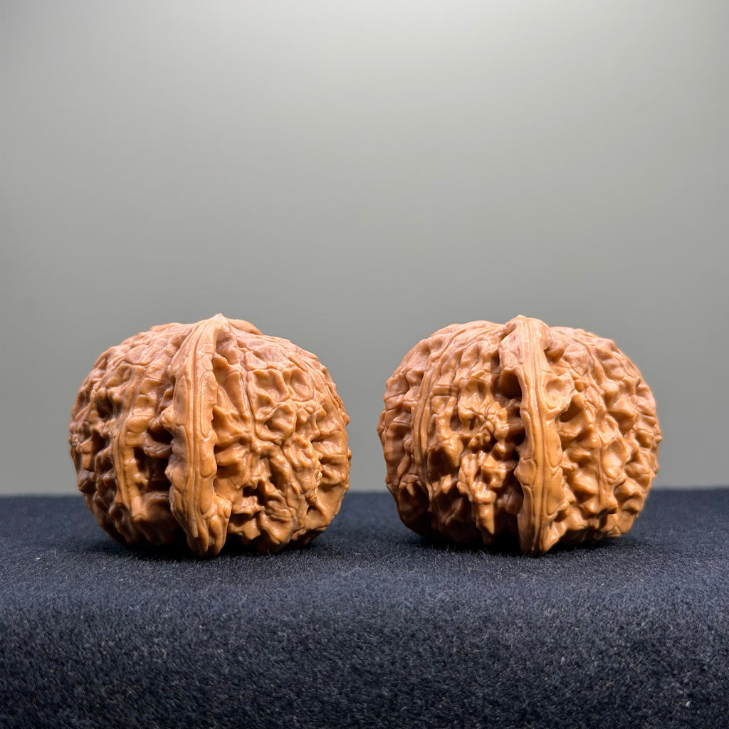 White Lion Wenwan Walnut · 37mm · Select Ritual