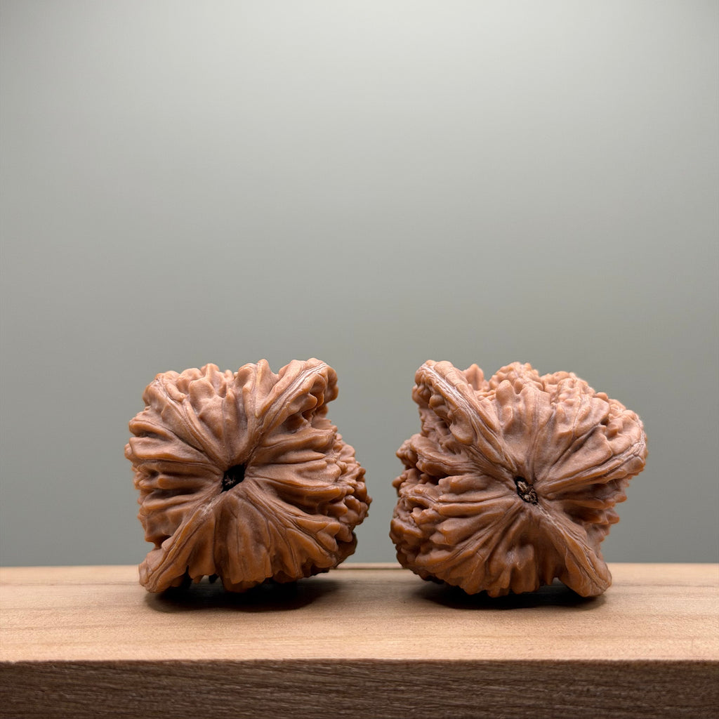 Four Towers Wenwan Walnut