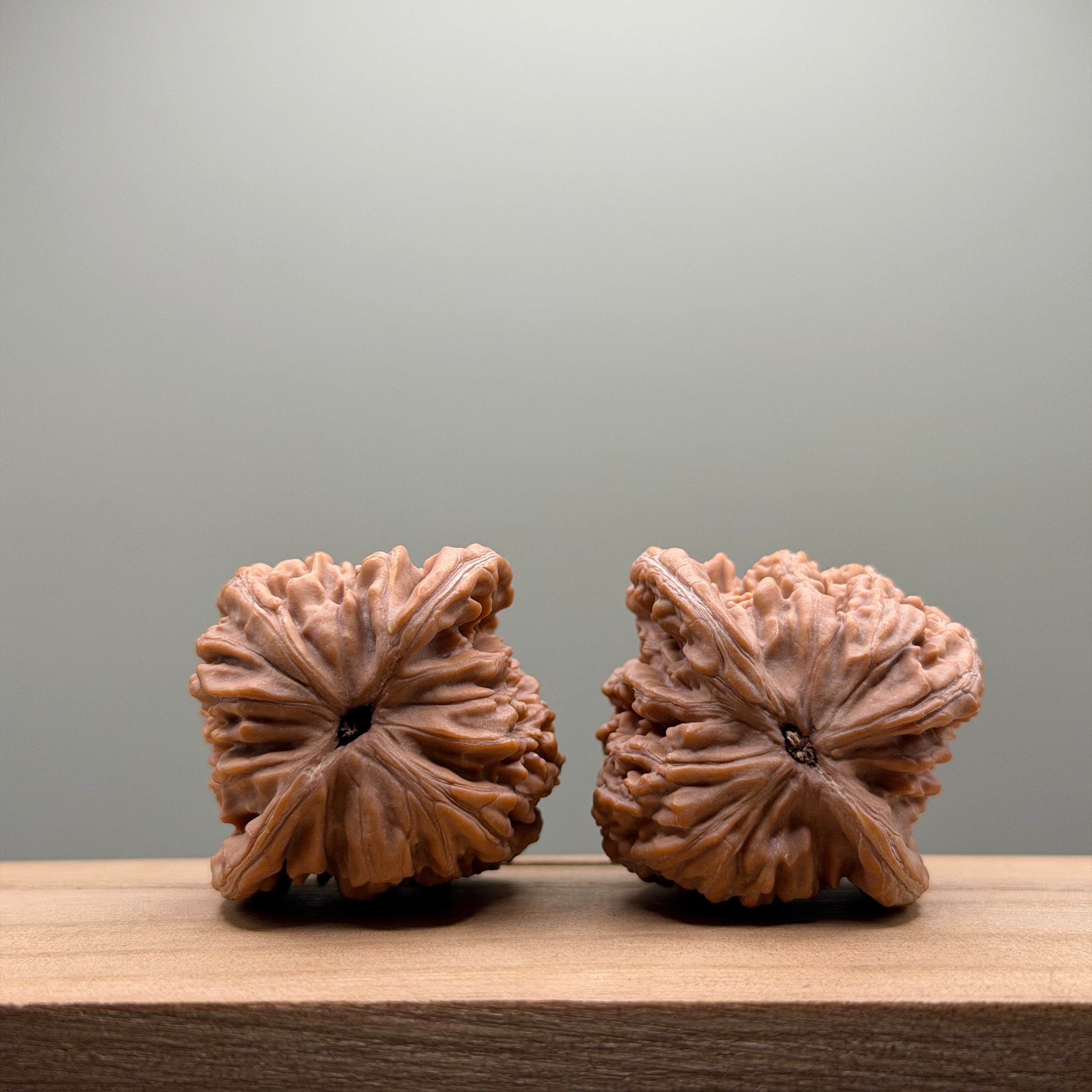 Four Towers Wenwan Walnut