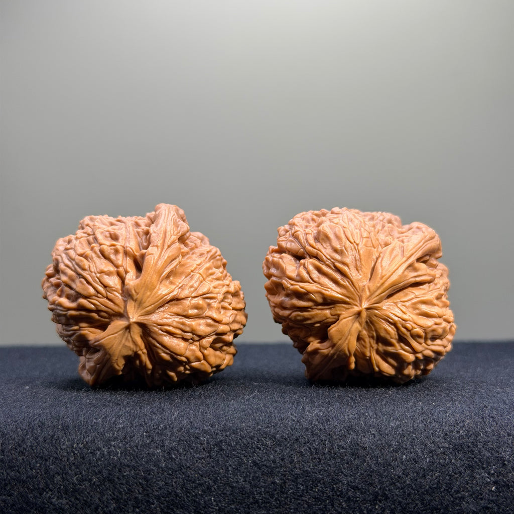 White Lion Wenwan Walnut · 37mm · Select Ritual