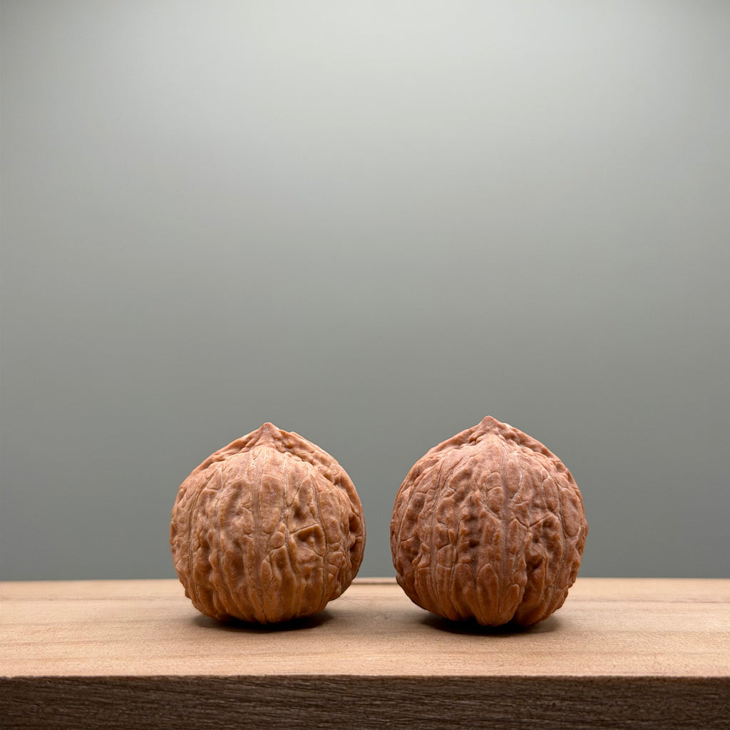 Qiuzi Catalpa Walnut