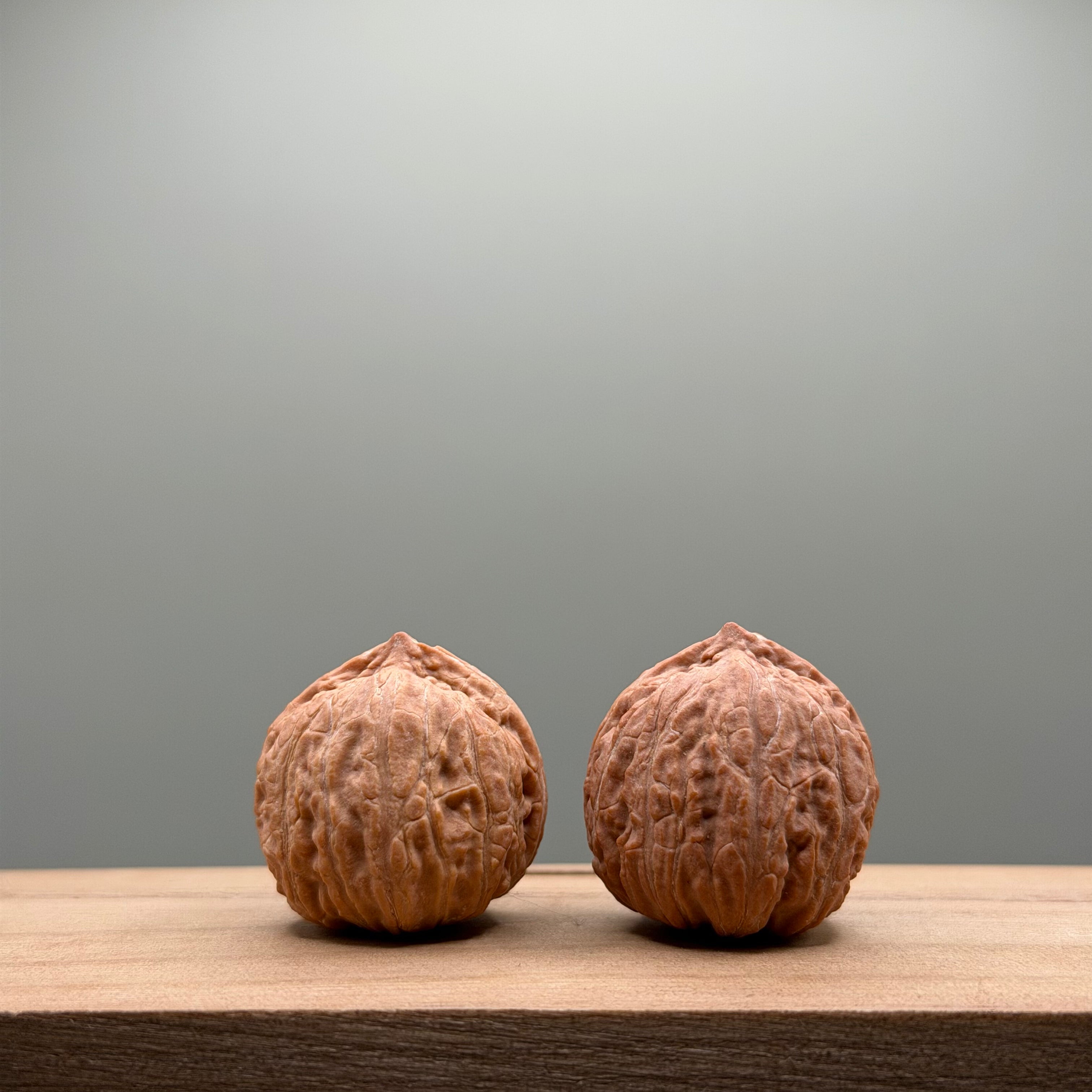 Qiuzi Catalpa Walnut