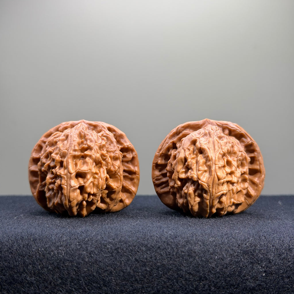 White Lion Wenwan Walnut · 41mm · Select Ritual