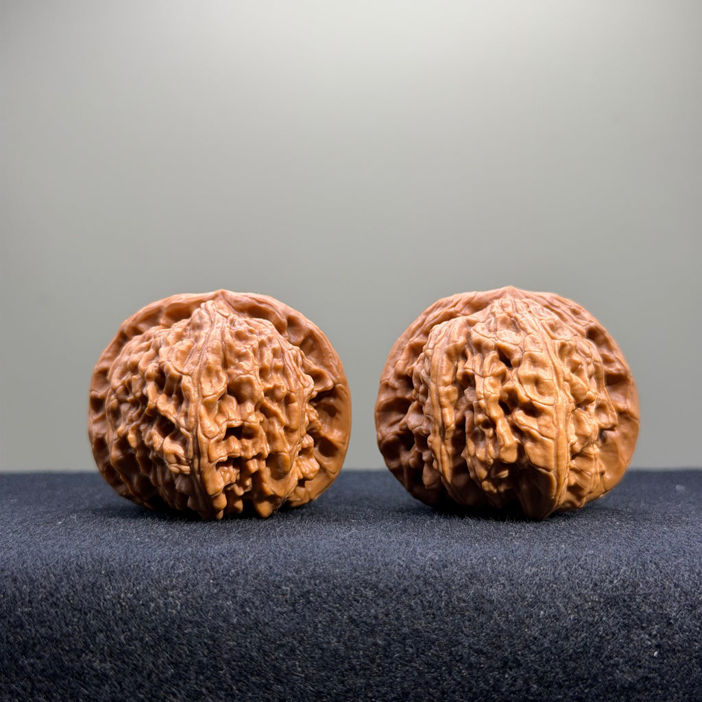 White Lion Wenwan Walnut · 41mm · Select Ritual