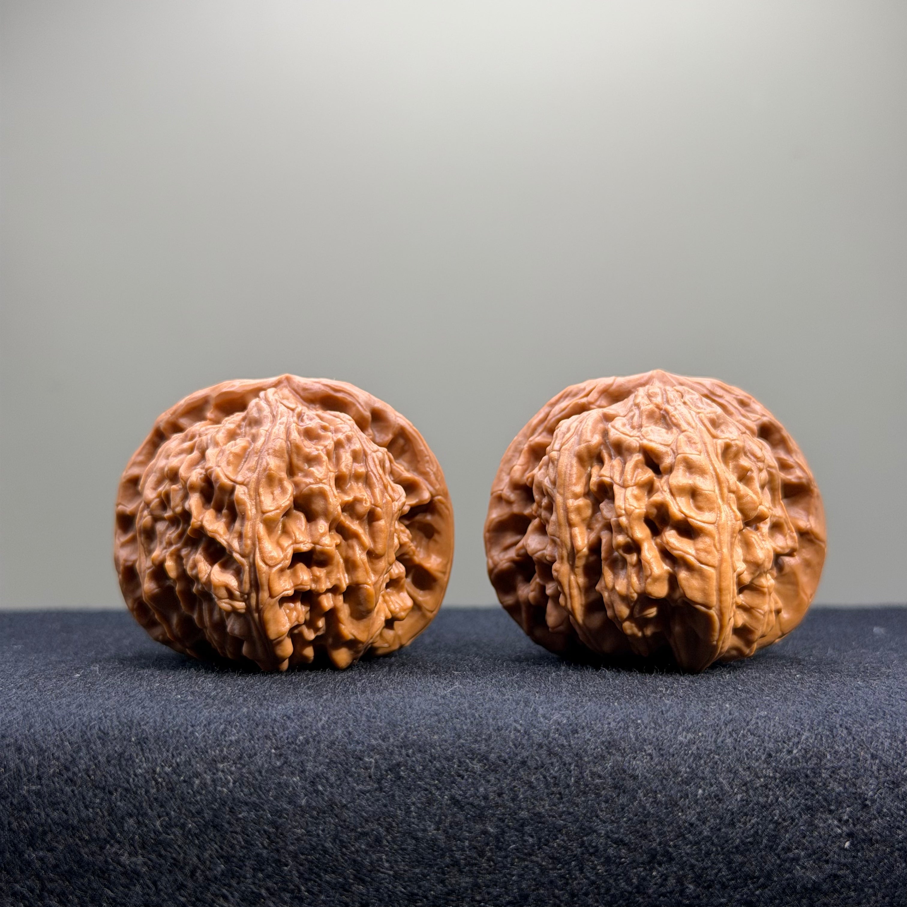White Lion Wenwan Walnut · 41mm · Select Ritual