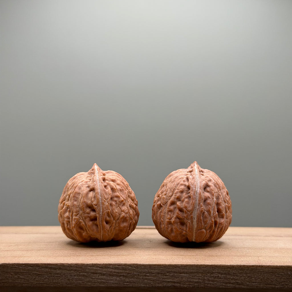 Qiuzi Catalpa Walnut