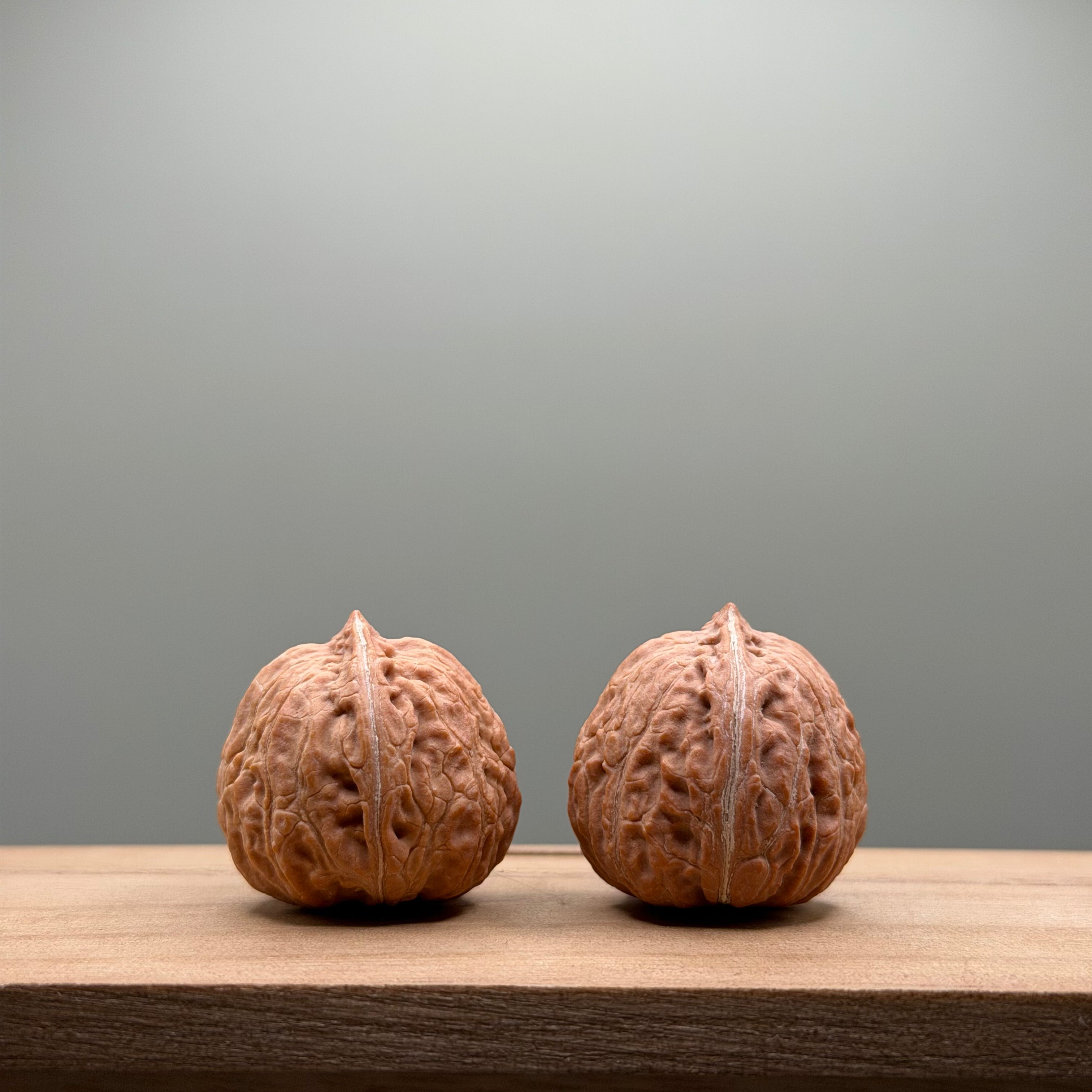 Qiuzi Catalpa Walnut
