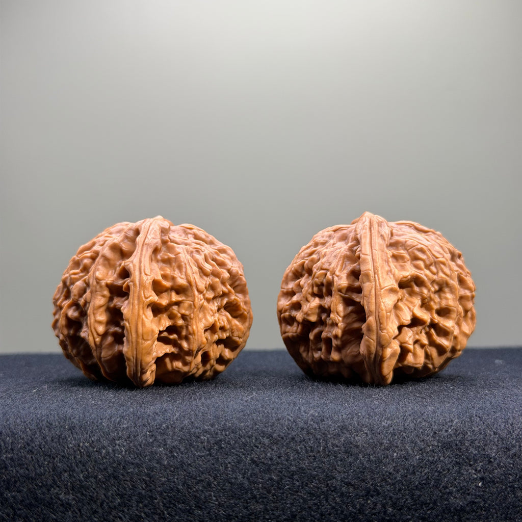 White Lion Wenwan Walnut · 41mm · Select Ritual