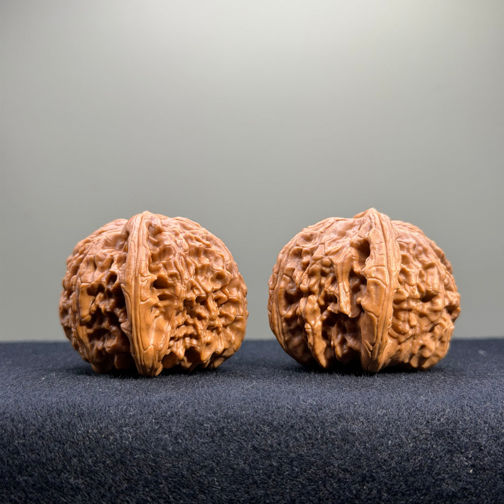 White Lion Wenwan Walnut · 41mm · Select Ritual