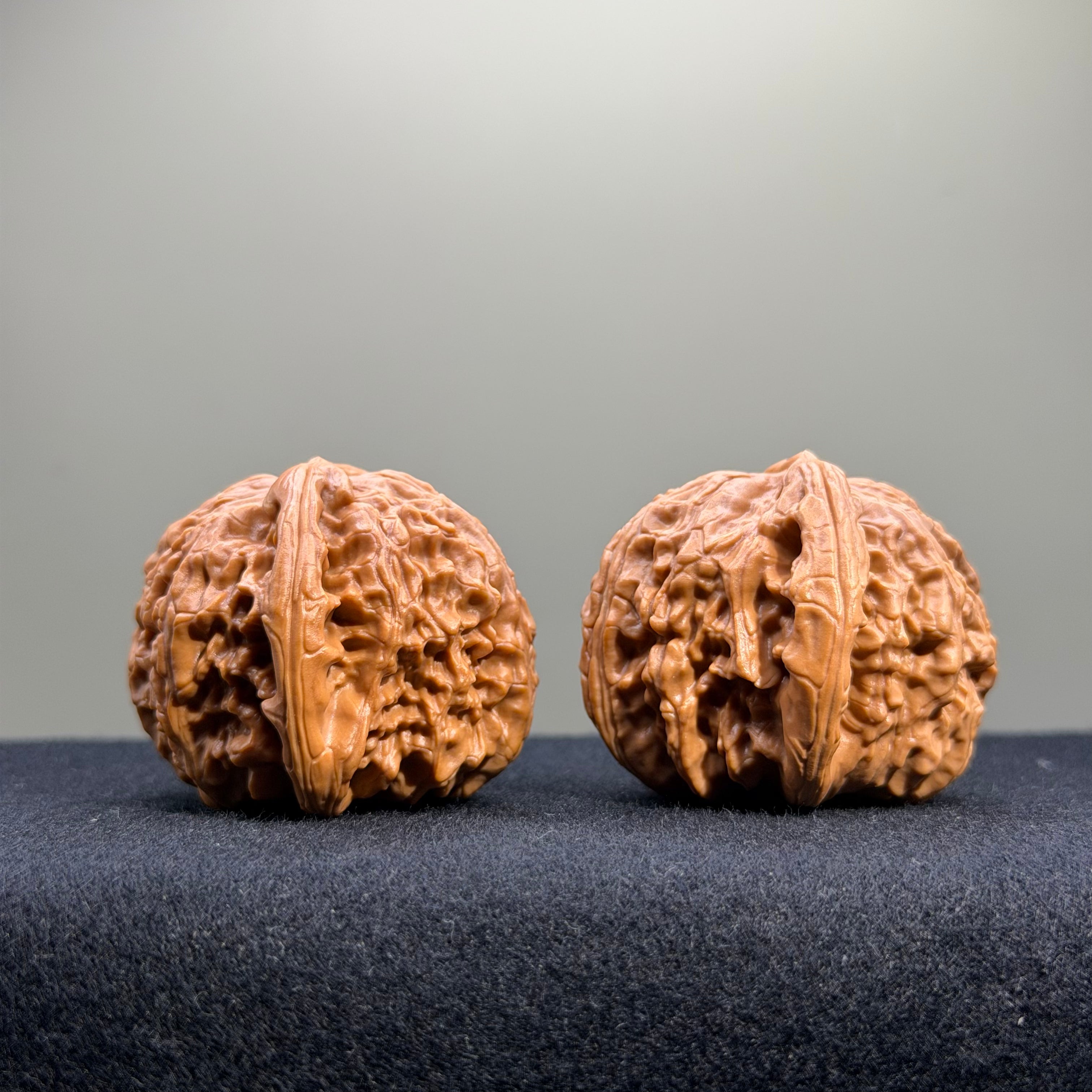White Lion Wenwan Walnut · 41mm · Select Ritual