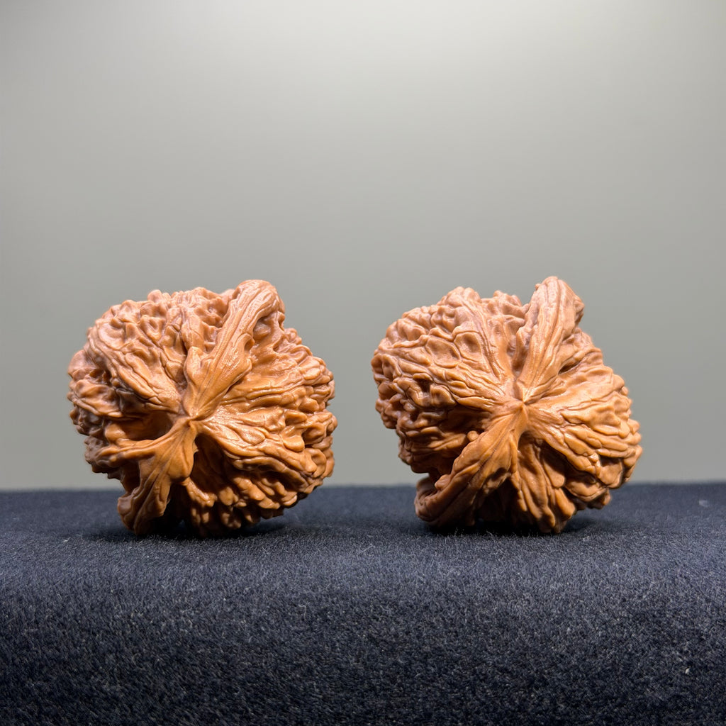 White Lion Wenwan Walnut · 41mm · Select Ritual