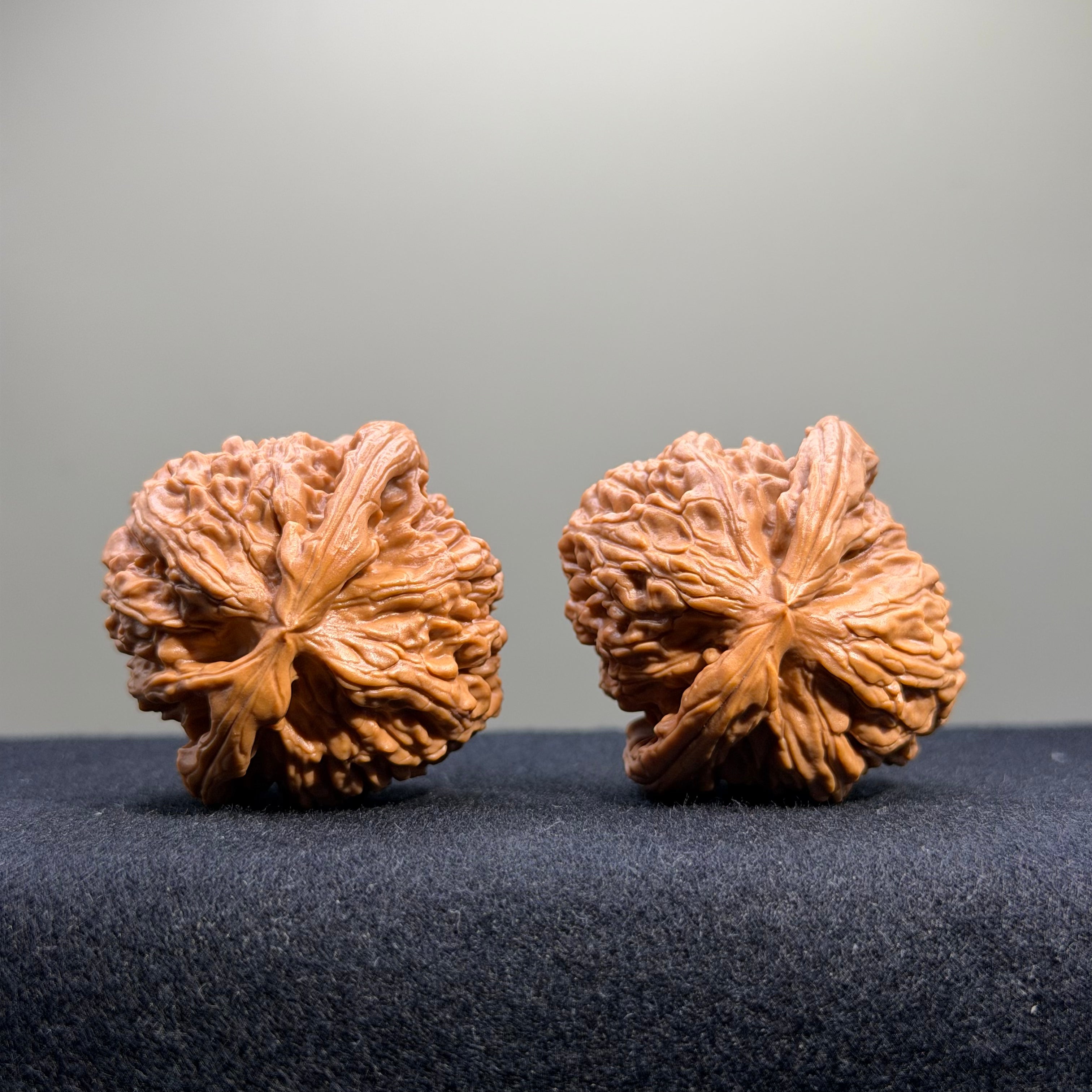 White Lion Wenwan Walnut · 41mm · Select Ritual