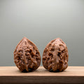Dragon Bone Catalpa Walnut