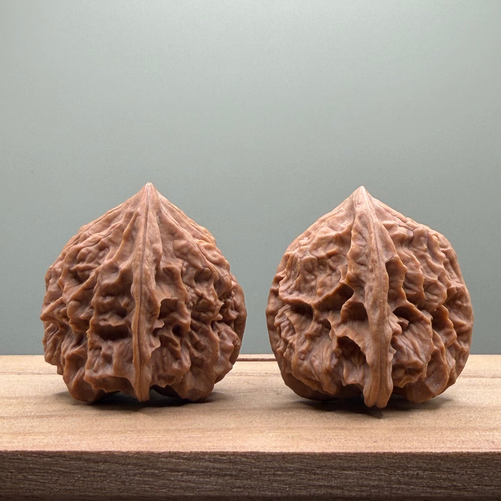 Dragon Bone Catalpa Walnut