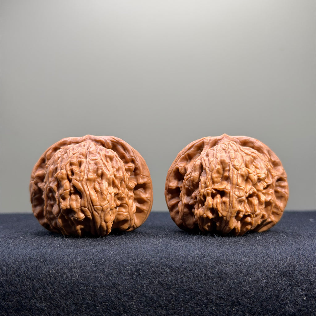 White Lion Wenwan Walnut · 40mm · Select Ritual