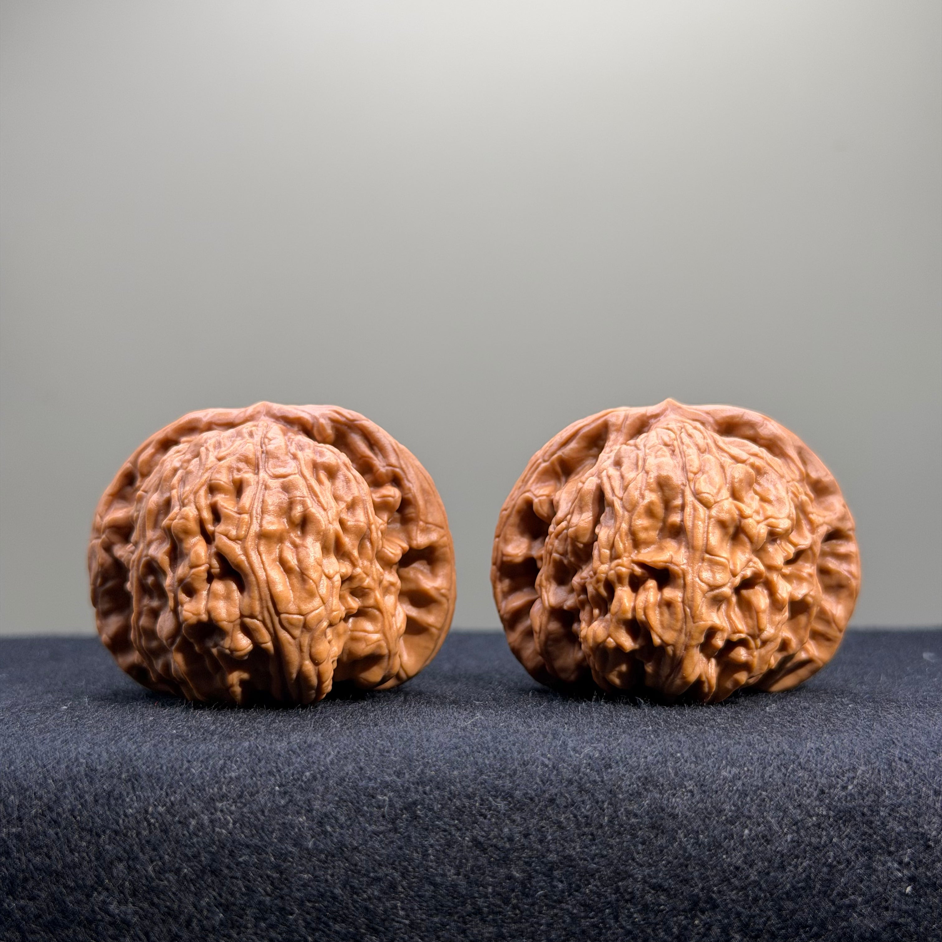 White Lion Wenwan Walnut · 40mm · Select Ritual