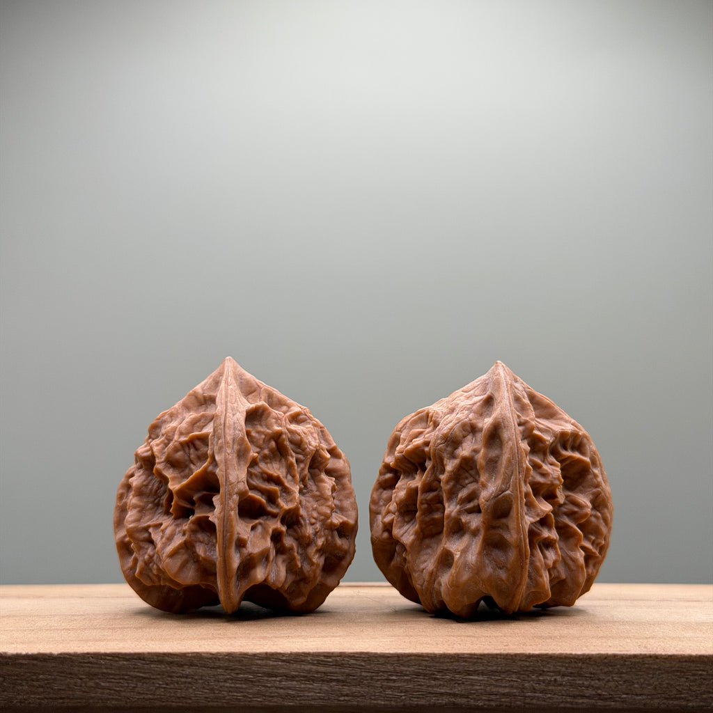 Dragon Bone Catalpa Walnut