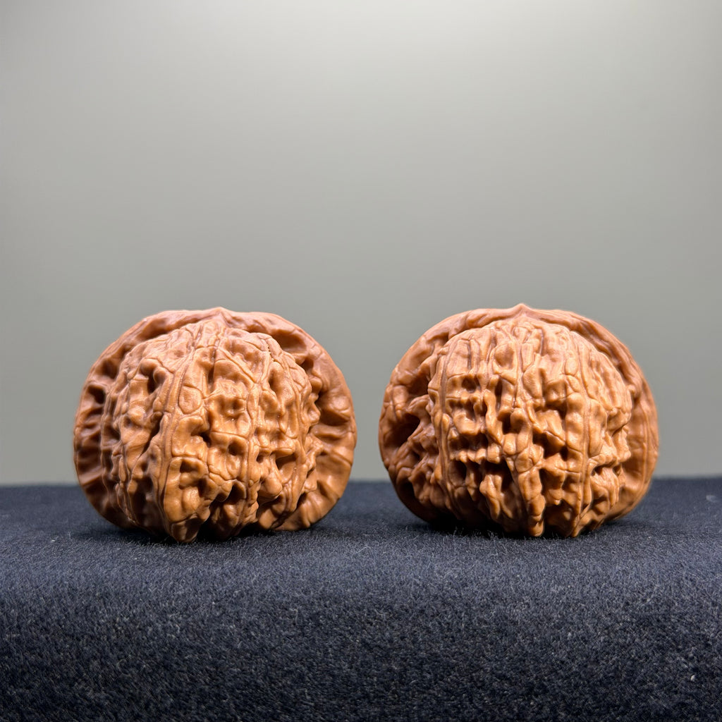 White Lion Wenwan Walnut · 40mm · Select Ritual