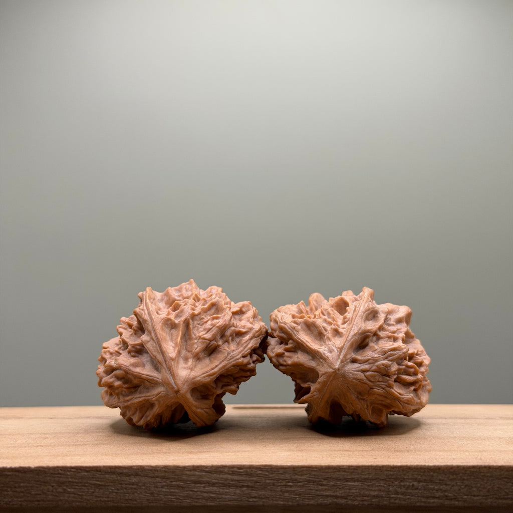 Dragon Bone Catalpa Walnut