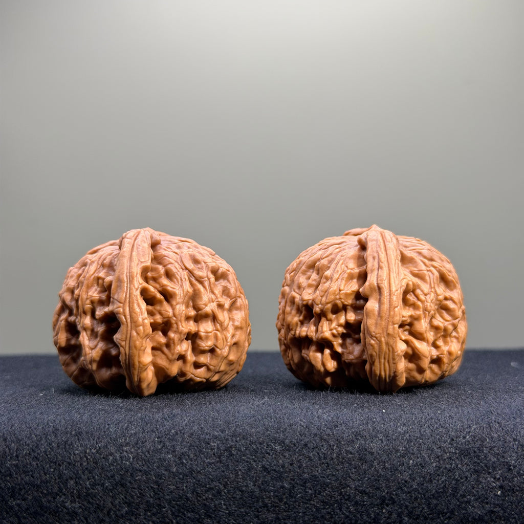 White Lion Wenwan Walnut · 40mm · Select Ritual