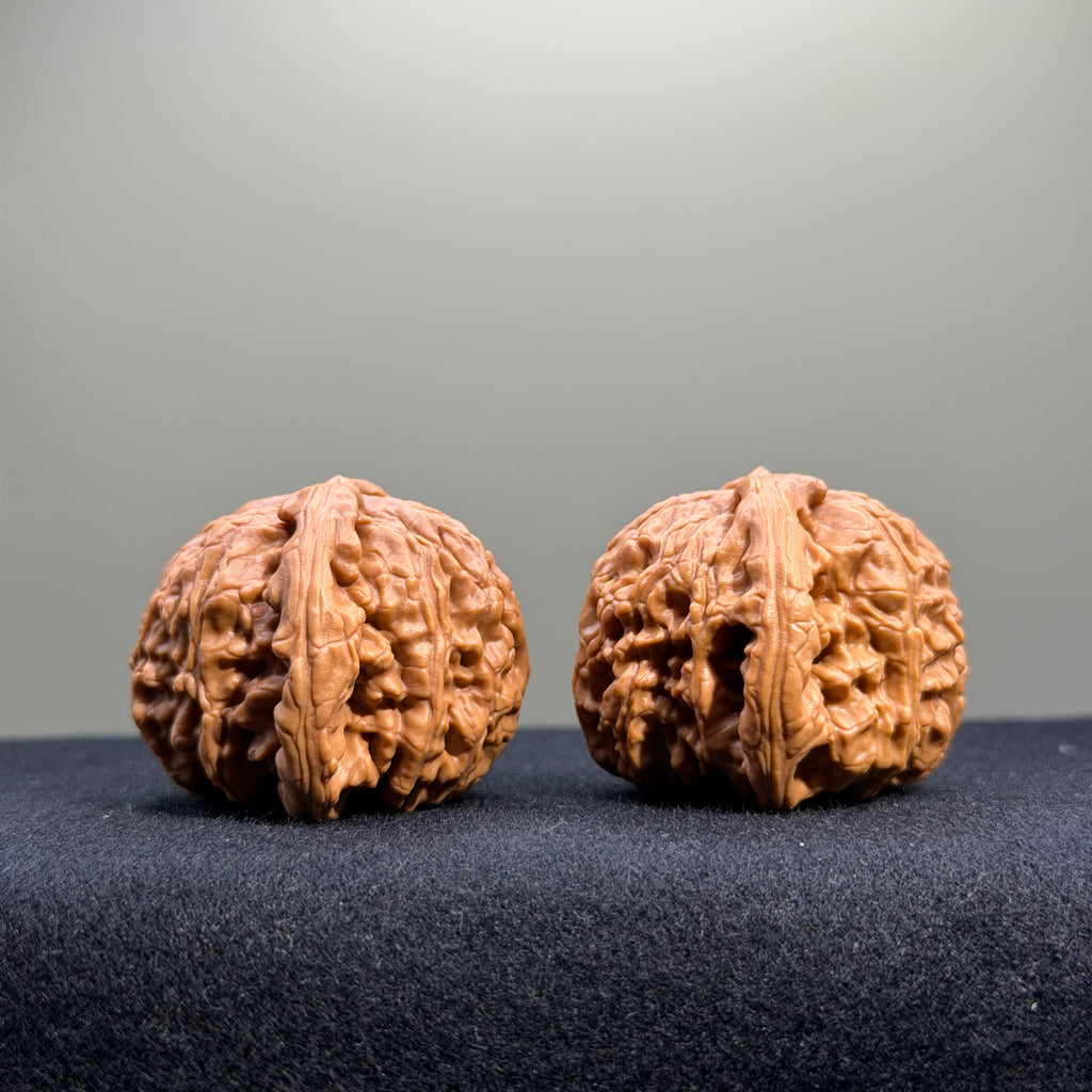 White Lion Wenwan Walnut · 40mm · Select Ritual