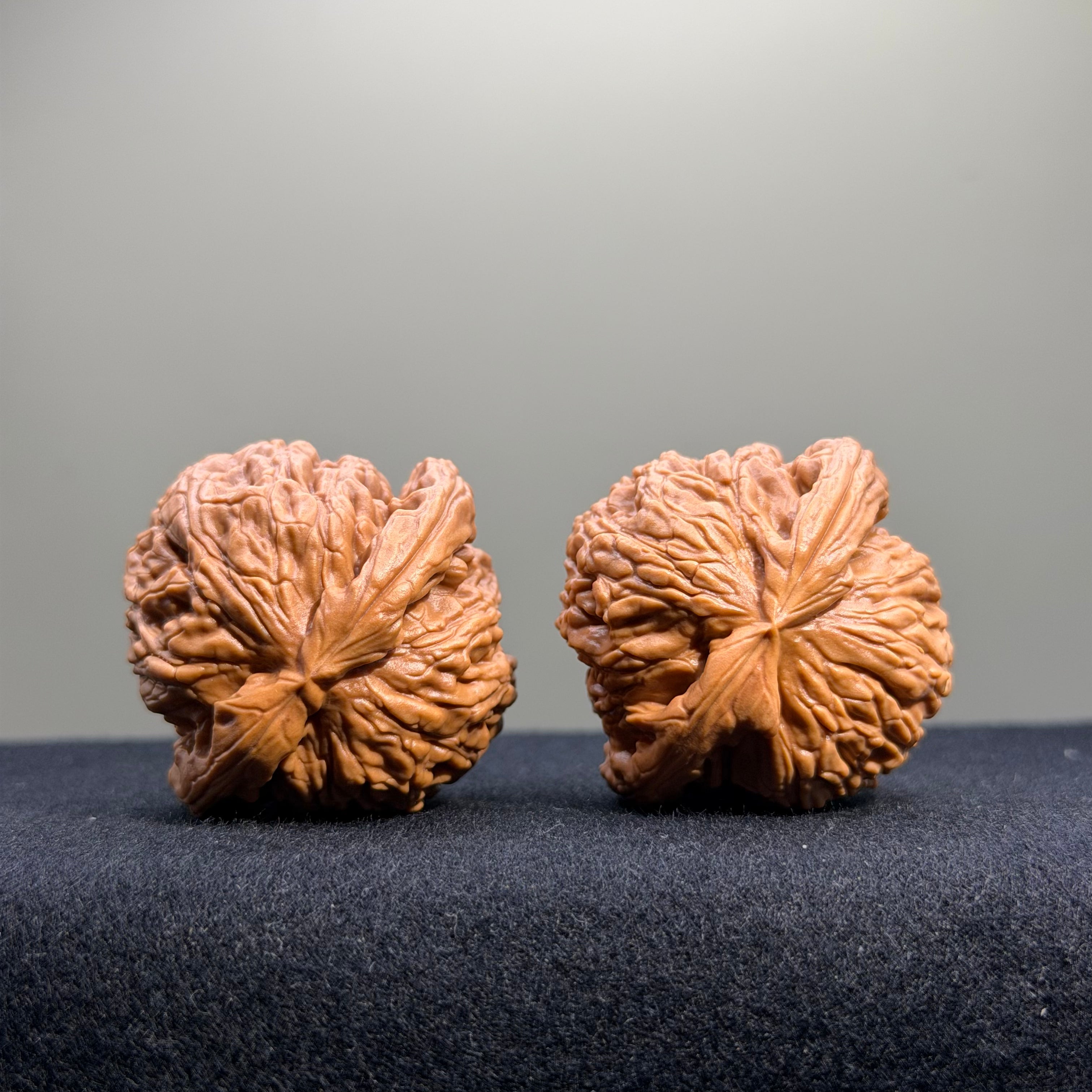 White Lion Wenwan Walnut · 40mm · Select Ritual