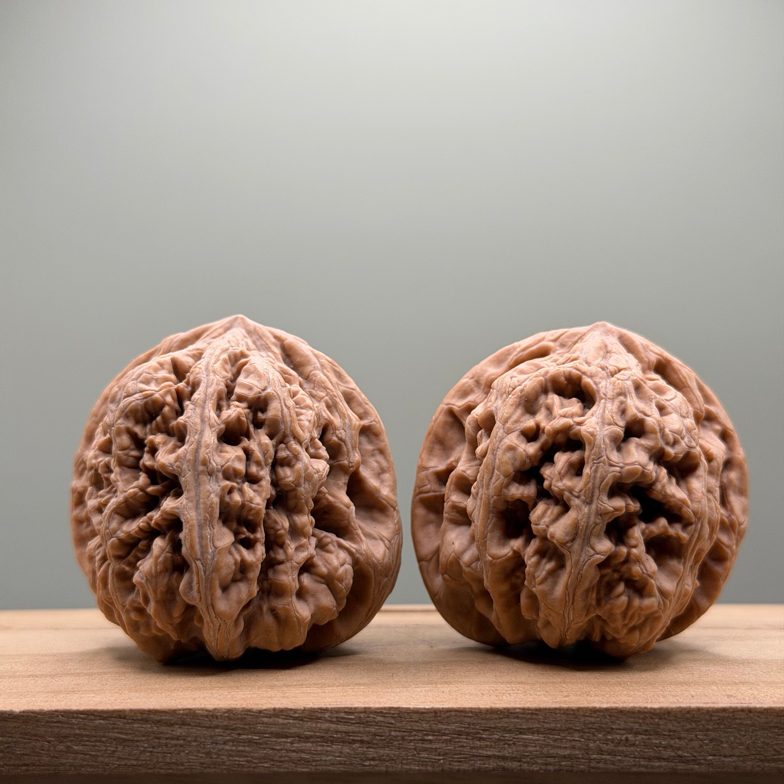 Thick Ribs (Da Cu Jin) Lion Head Walnut