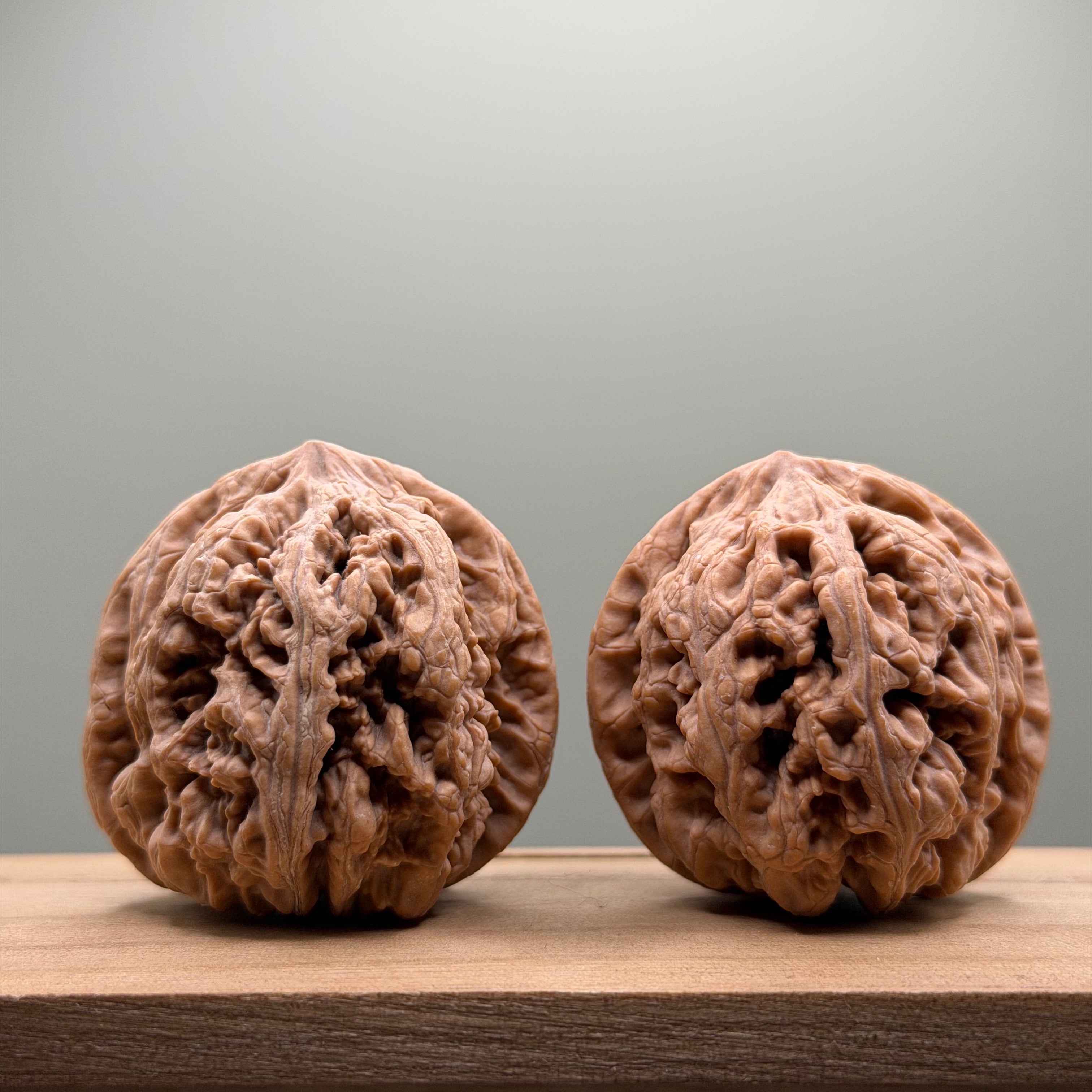 Thick Ribs (Da Cu Jin) Lion Head Walnut