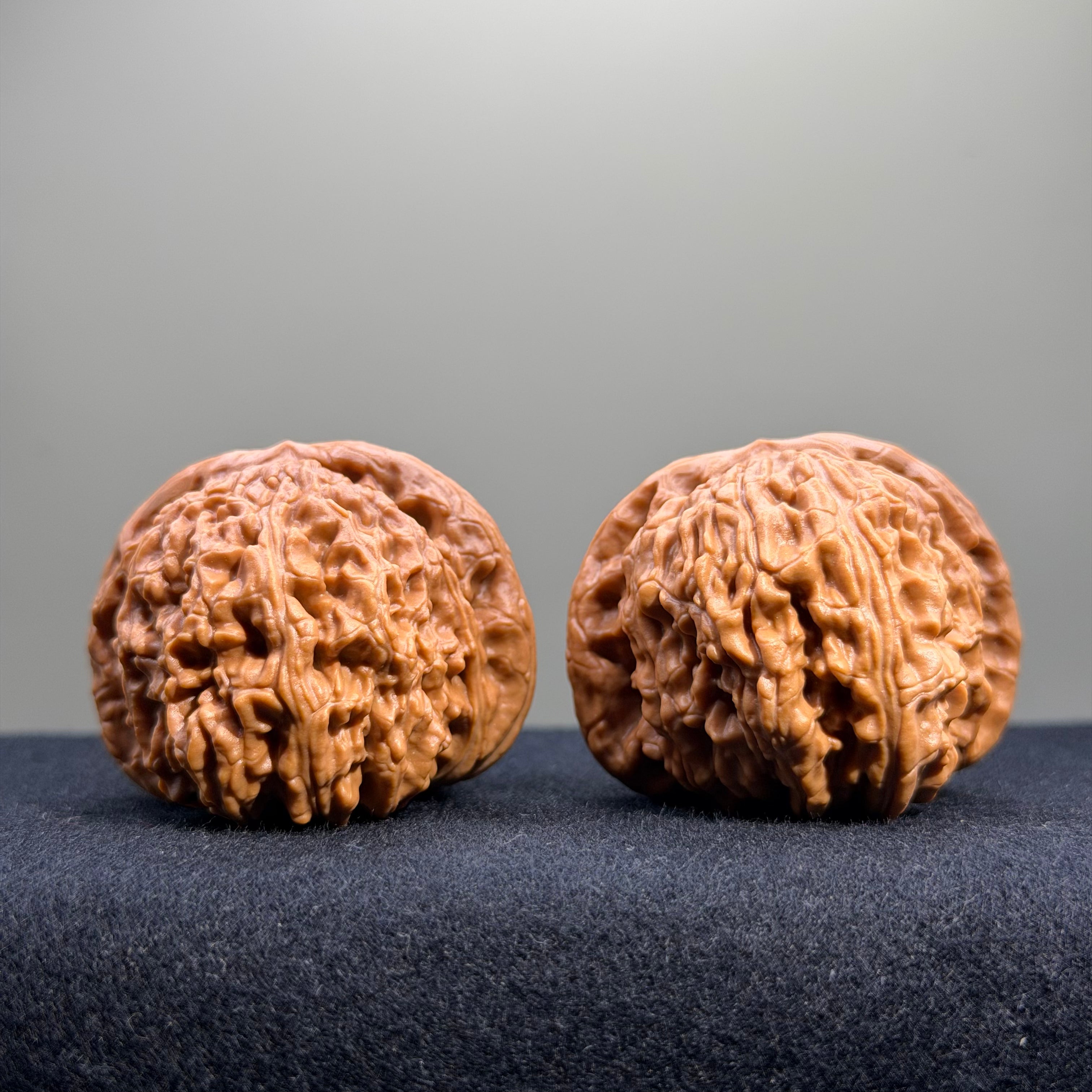 White Lion Wenwan Walnut · 42mm · Select Ritual