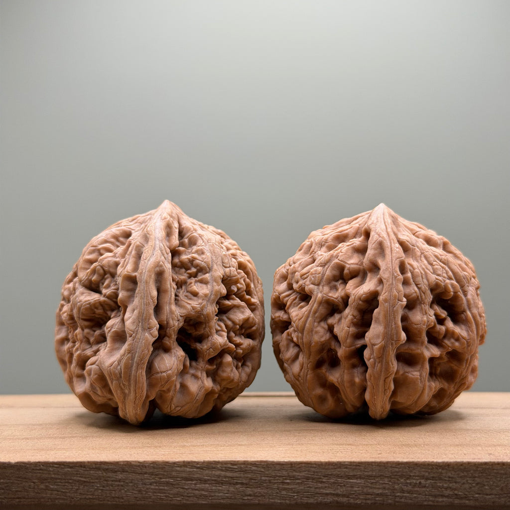 Thick Ribs (Da Cu Jin) Lion Head Walnut