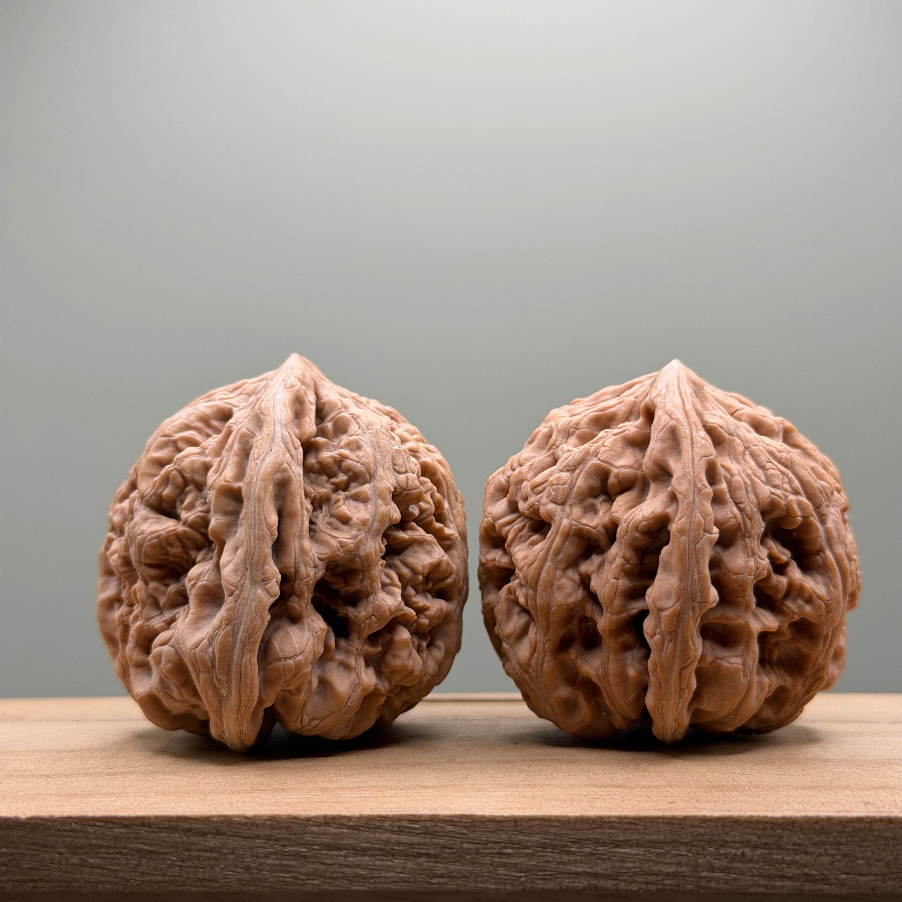 Thick Ribs (Da Cu Jin) Lion Head Walnut