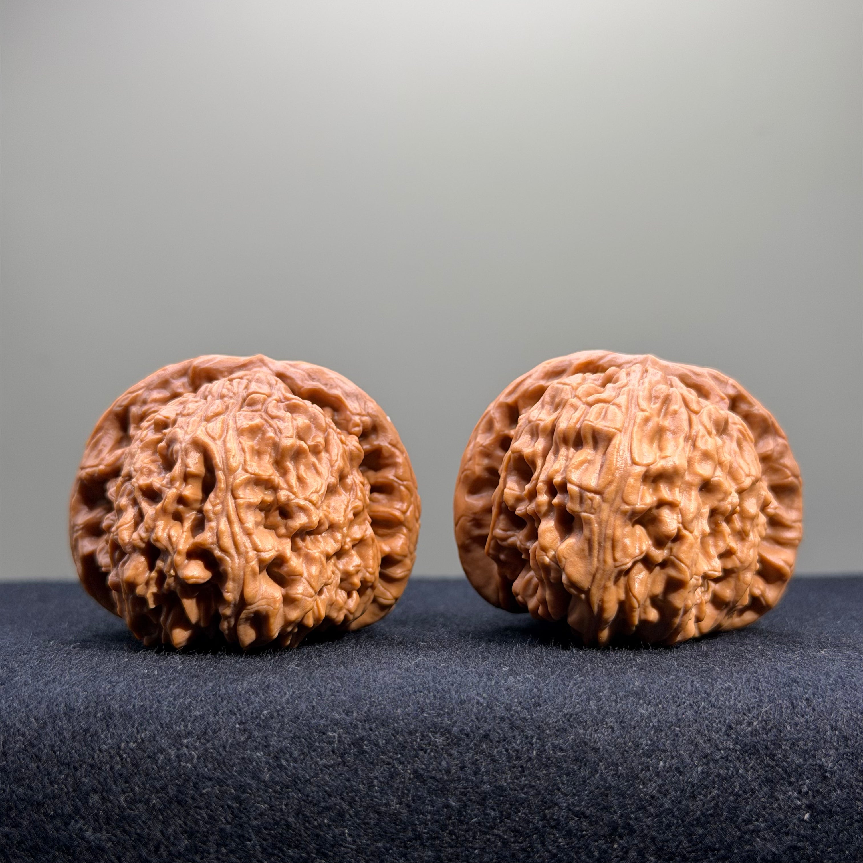 White Lion Wenwan Walnut · 42mm · Select Ritual