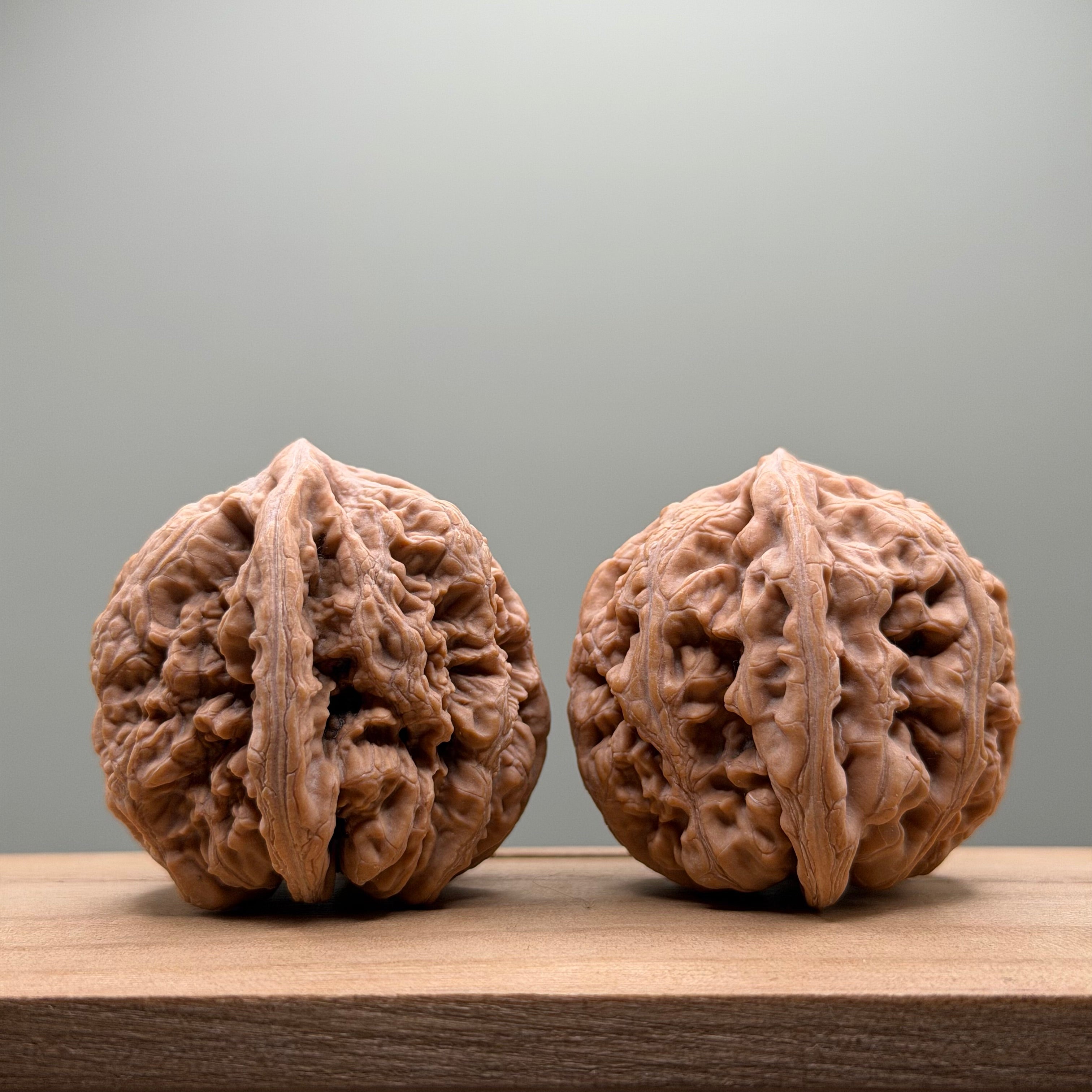 Thick Ribs (Da Cu Jin) Lion Head Walnut
