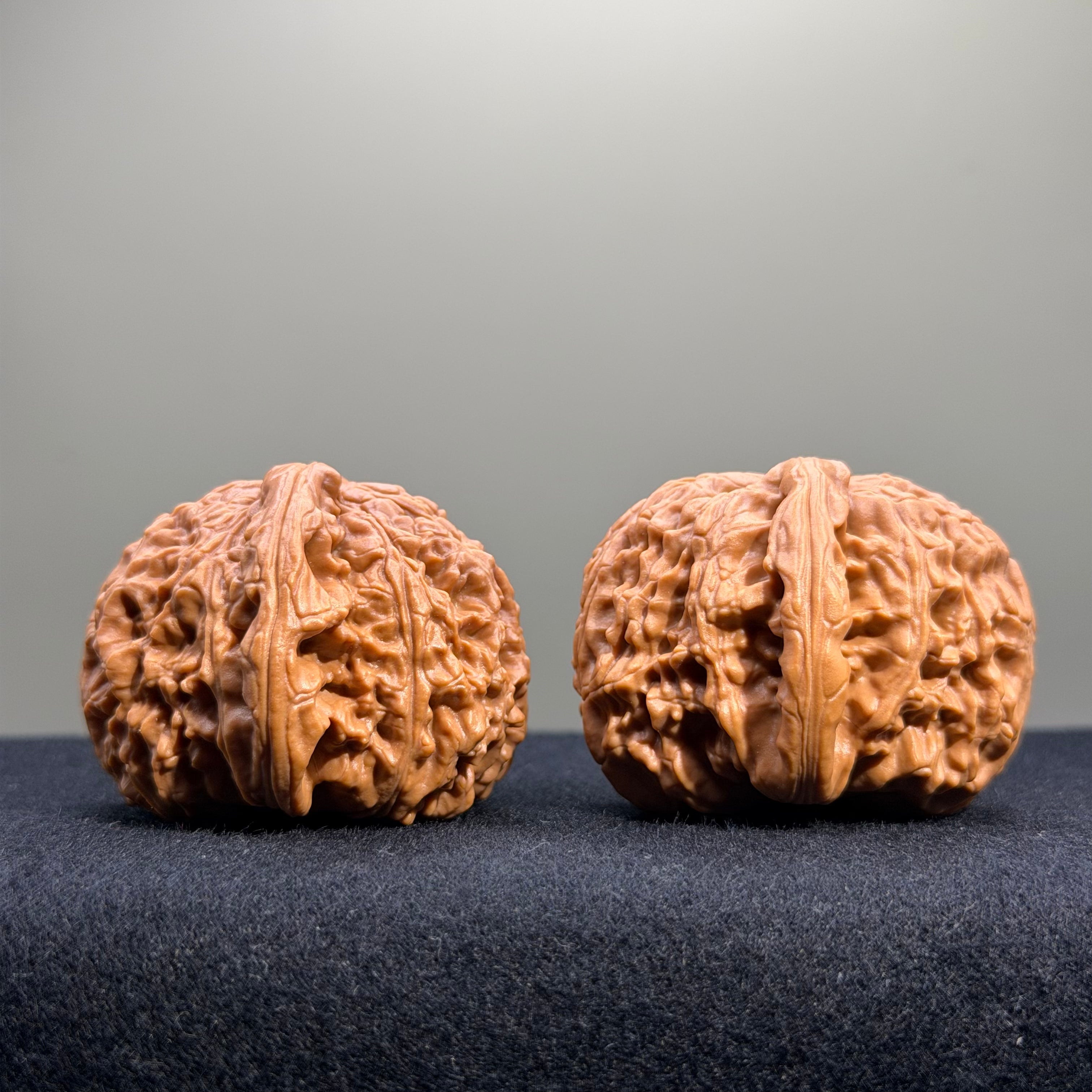 White Lion Wenwan Walnut · 42mm · Select Ritual