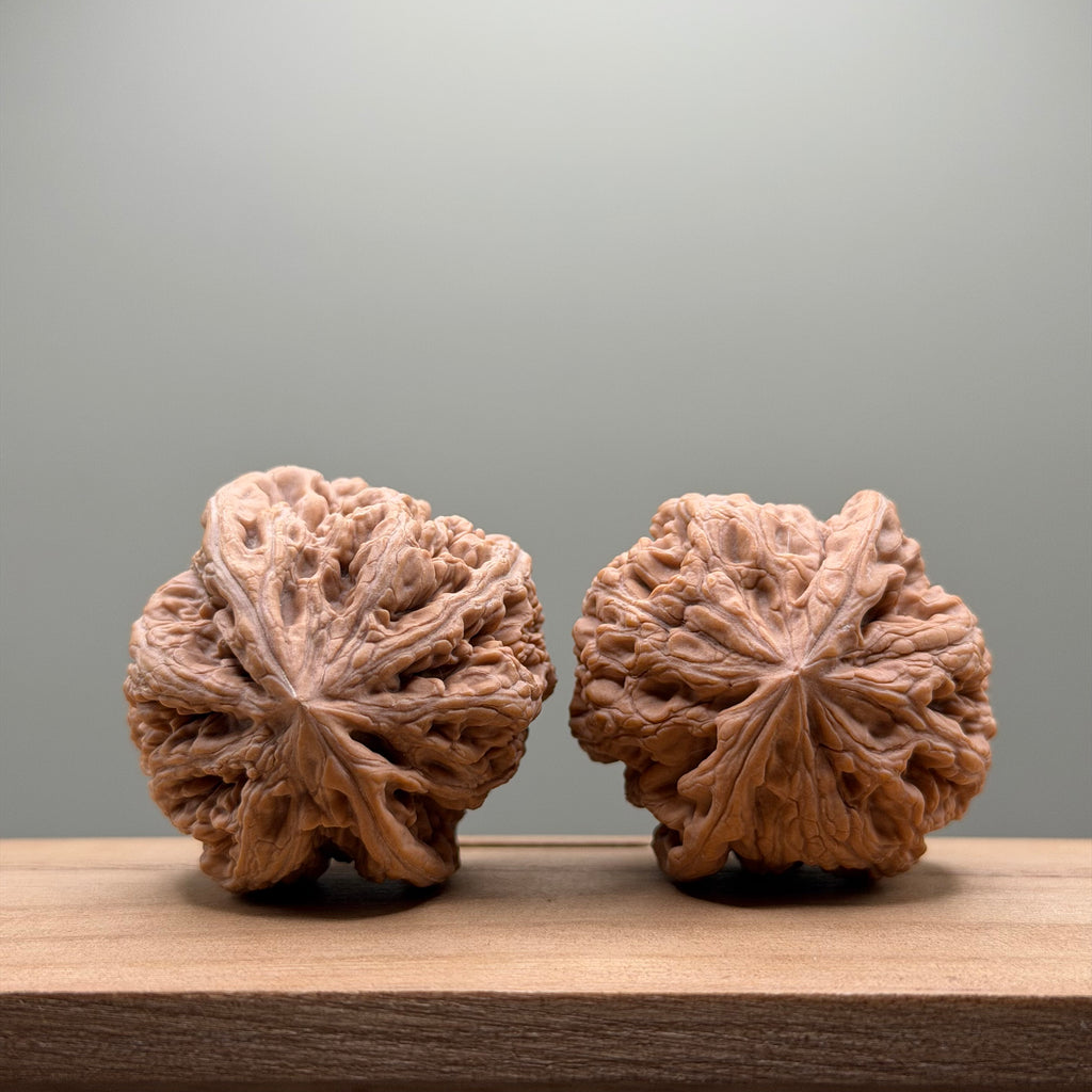 Thick Ribs (Da Cu Jin) Lion Head Walnut