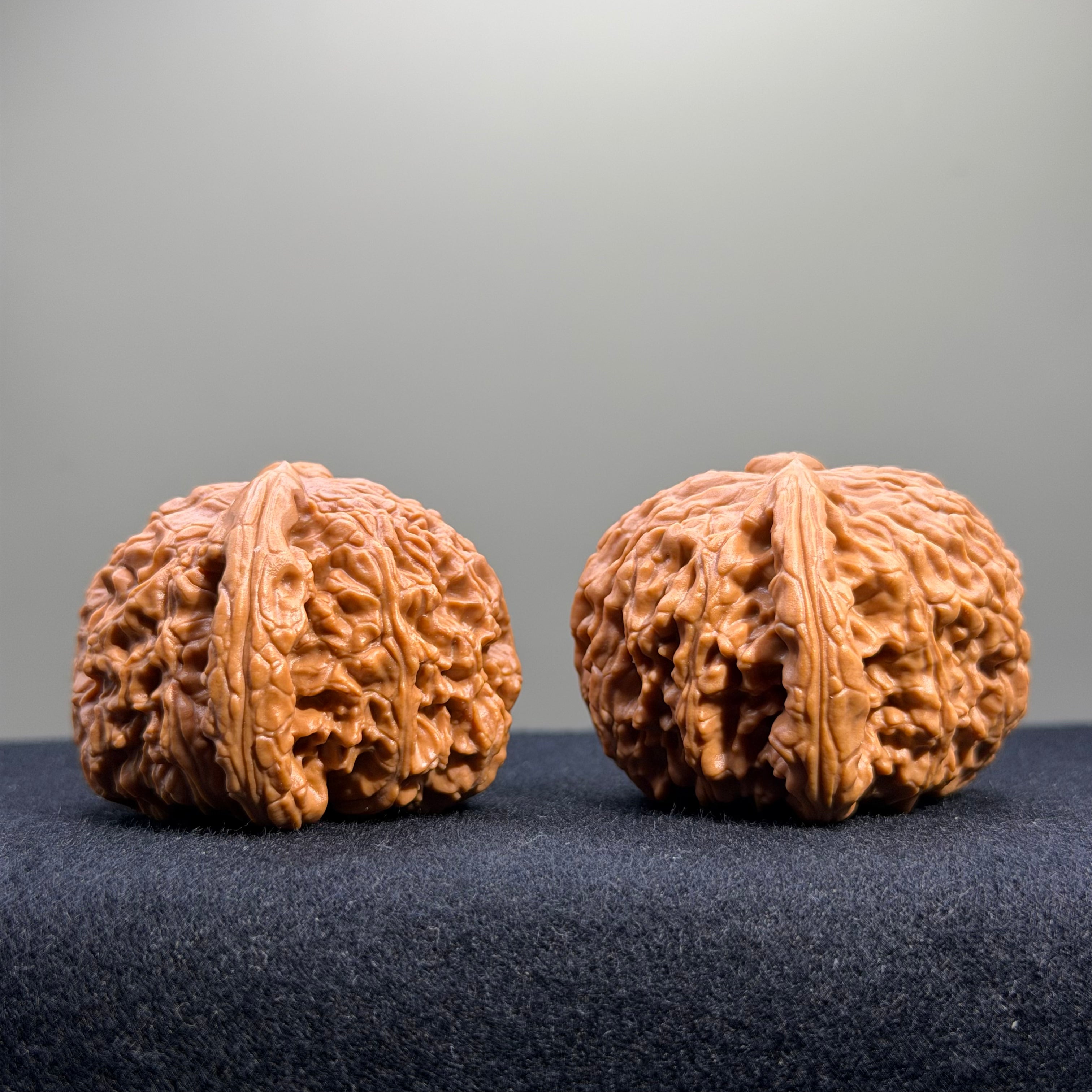 White Lion Wenwan Walnut · 42mm · Select Ritual