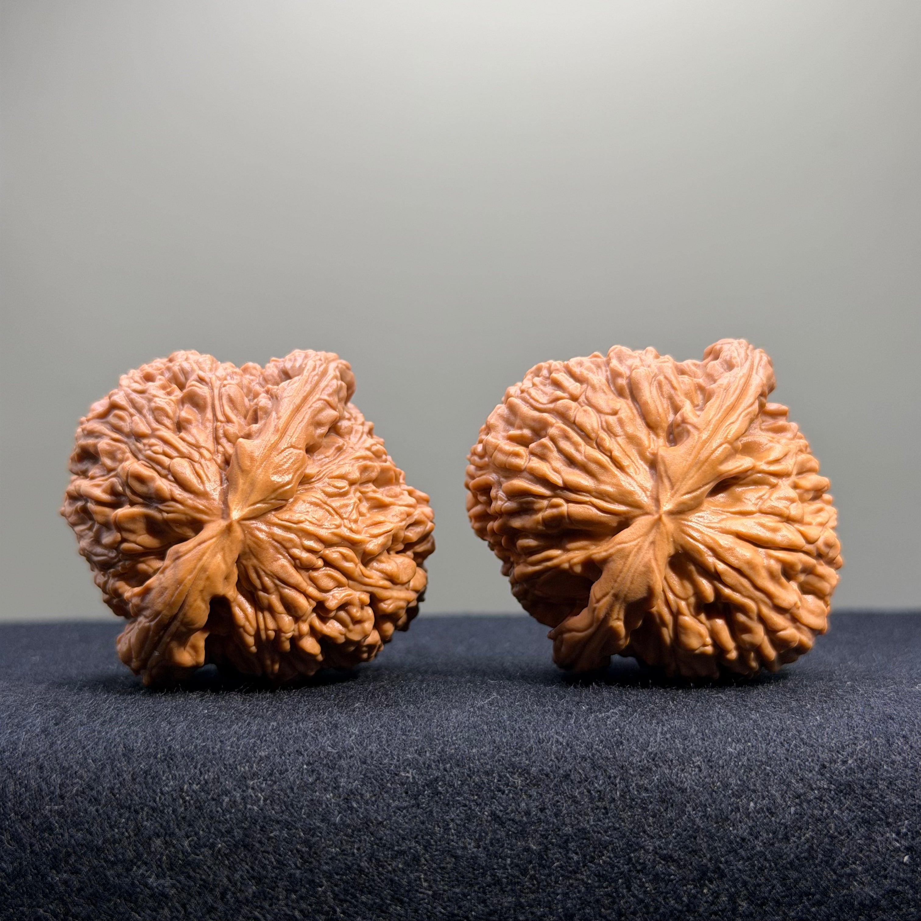 White Lion Wenwan Walnut · 42mm · Select Ritual