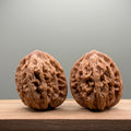 Wheat Ear Tiger Head Walnut