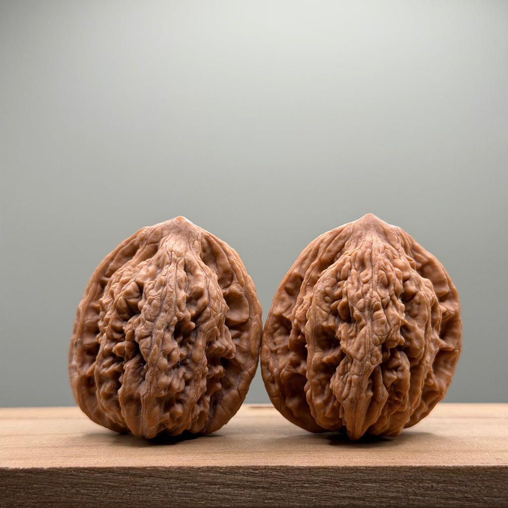 Wheat Ear Tiger Head Walnut
