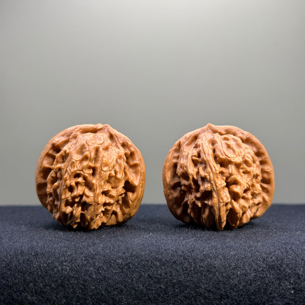 White Lion Wenwan Walnut · 36mm · Select Ritual