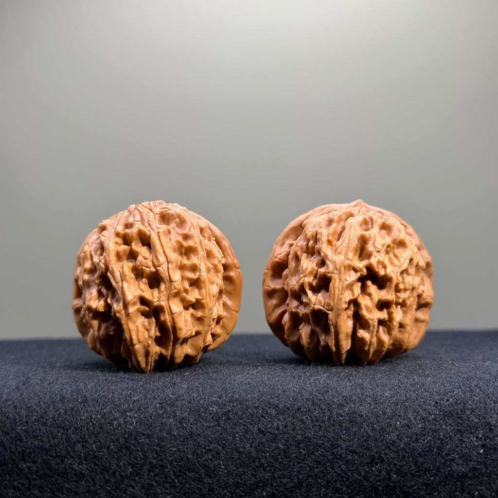 White Lion Wenwan Walnut · 36mm · Select Ritual